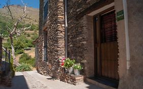 Casa-Huerto La Juana